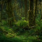 author-avatar