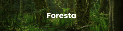 banner foresta linea de productos hyundai