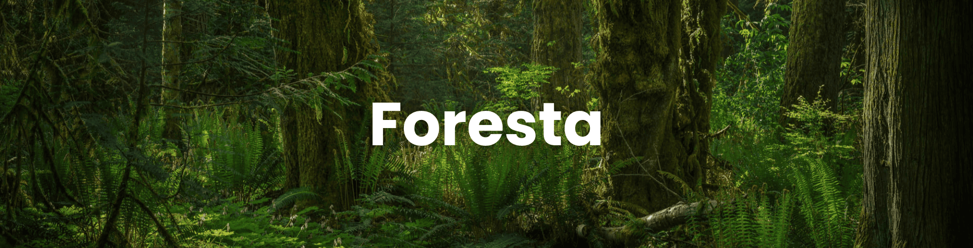 banner foresta linea de productos hyundai
